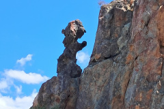 Lots-wifeCederberg