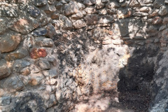warmwaterberg-eye