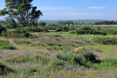 waylands