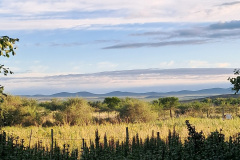 karoo-from-aloe-lodge