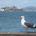 Alcatraz