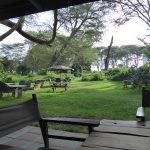 Camp Carnelley