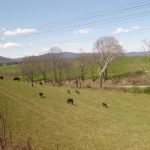 Farms Virginia