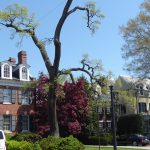 Georgetown homes