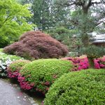 Japanese Garden Portland Japanese Garden Portland