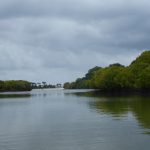 Kongo river