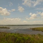 Wetland near New Orleans