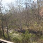 Appalachian stream