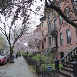 brooklyn