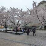 brooklyn art museum