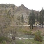 Sierra Nevada scene