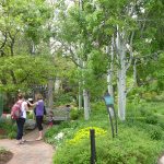Denver Botanical Garden
