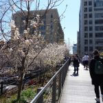 View of High Line Walkway, New York