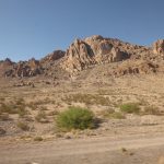 New Mexico or Arizona