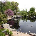 pond