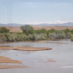 Rio grande