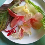 cannas