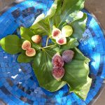 figs