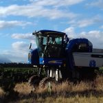 grape harvester
