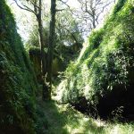 robin hoods den