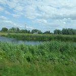 cambridgeshire