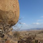 egg rock