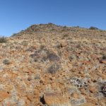 koppie nelspoort