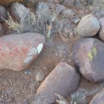 rocks and lichen