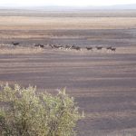 dry dam