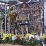 in orchid house