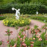 fritallaria garden