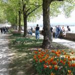 morges