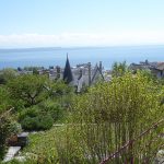 neuchatel