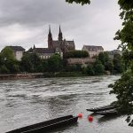 Rhine
