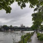 rhine