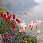 montreux