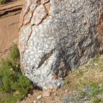 Grey orbicular granite boulder grey boulder