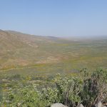 View over flats from top of Wildeperdehoek pass view