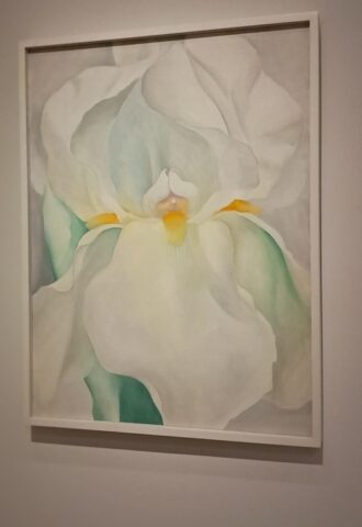 o'keeffe